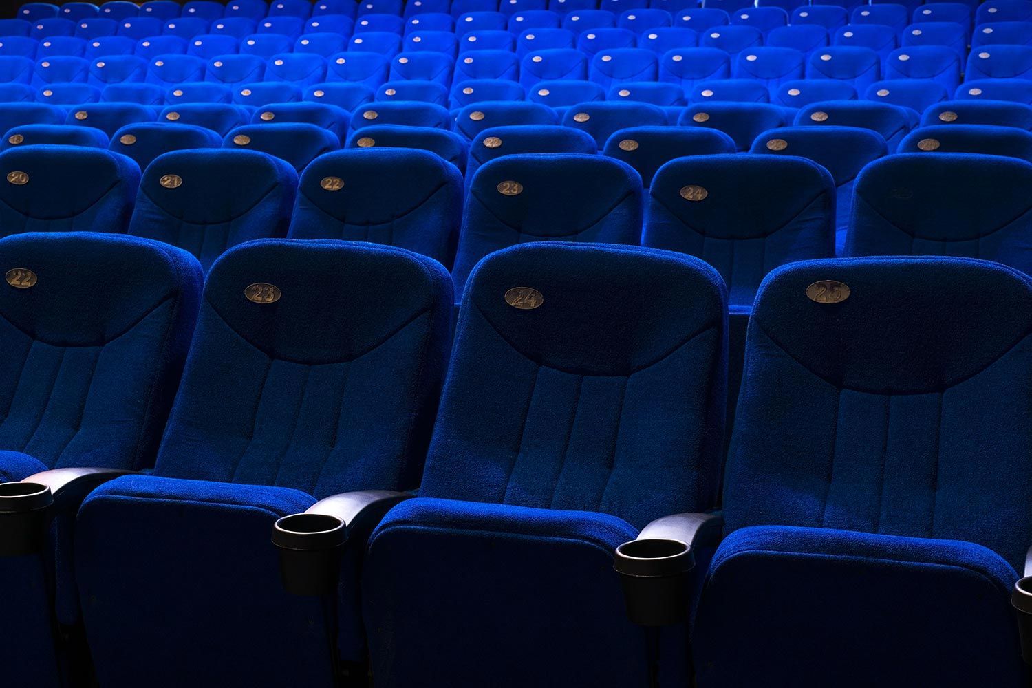 Rows of blue theater seats with numbered plaques and cup holders